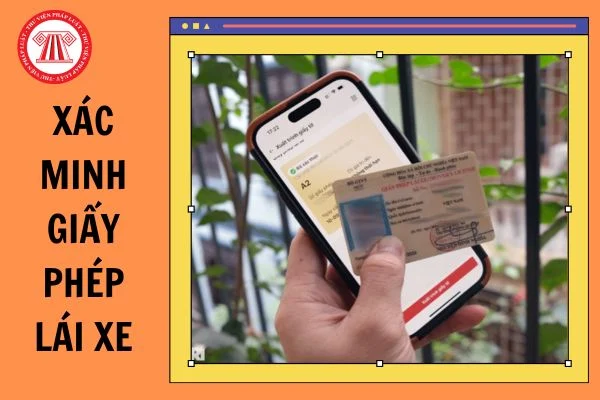 Trường hợp phải thực hiện xác minh giấy phép lái xe
