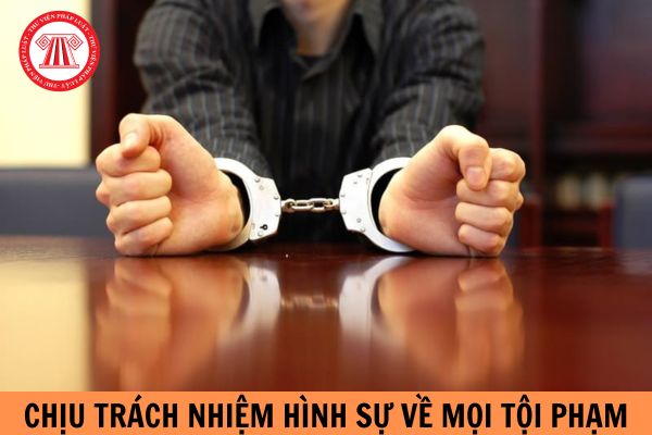 Bao nhiêu tuổi trở lên phải chịu trách nhiệm hình sự về mọi tội phạm?